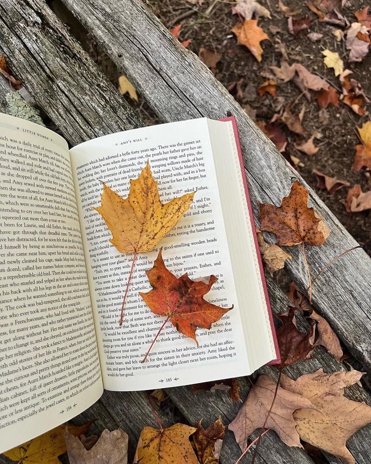 The Top 7 Fall Reads for 2023