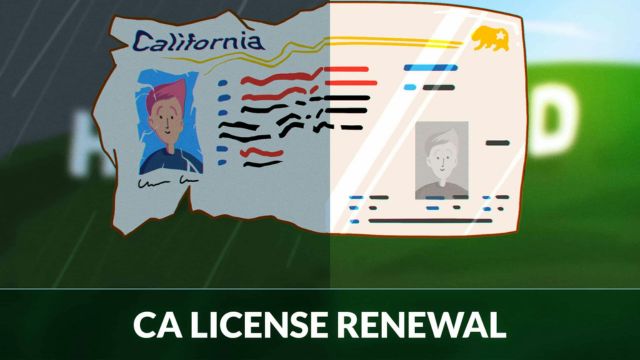 Driver’s License Renewals in California: Latest Requirements and Rules for Drivers